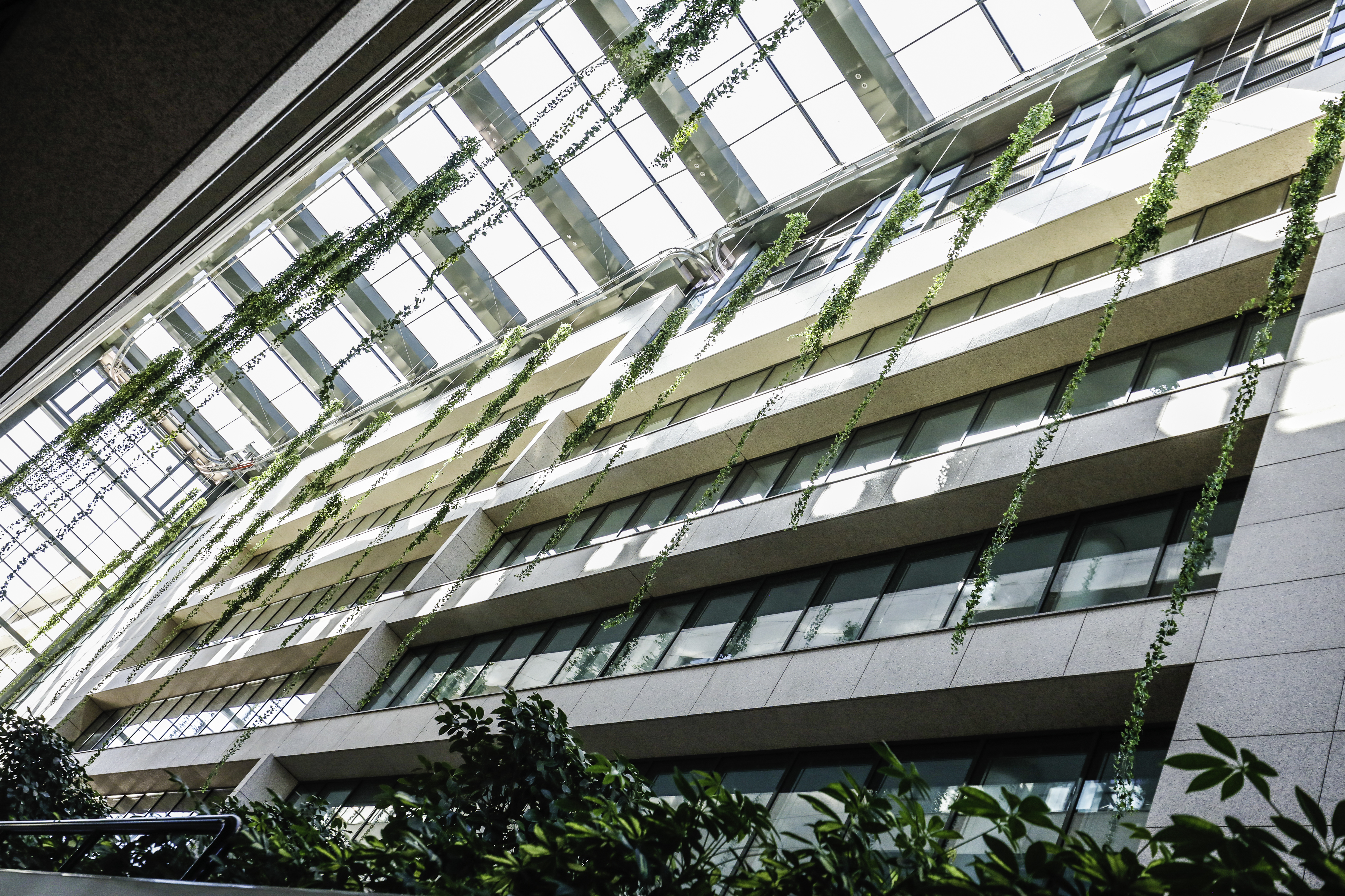 María de portugal, 1-3-5 6 María de portugal, 1-3-5 6